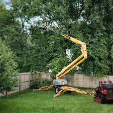 Best Tree Removal Service  in Redway, CA